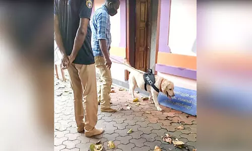 മറ്റൂർ നീലംകുളങ്ങര ക്ഷേത്രത്തിൽ മോഷണം