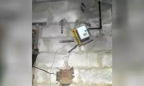 കാട്ടുകുരങ്ങുകളുടെ ആക്രമണത്തിൽ പൊറുതിമുട്ടി കോളനി വാസികൾ