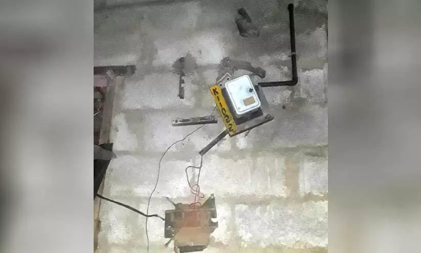 കാട്ടുകുരങ്ങുകളുടെ ആക്രമണത്തിൽ പൊറുതിമുട്ടി കോളനി വാസികൾ