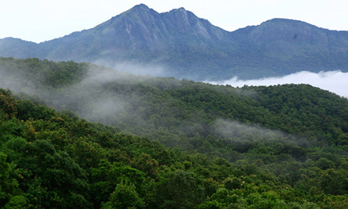 പരിസ്ഥിതി ലോല മേഖല; ആശങ്ക വേണ്ടെന്ന്​ ഉദ്യോഗസ്ഥർ