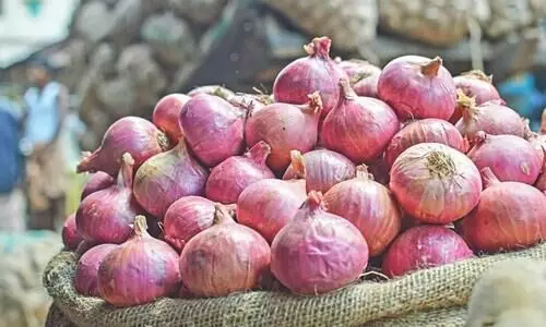 ഇറക്കുമതിയിലും വില കുറയുന്നില്ല;  സവാളയും ഉള്ളിയും കീശ ചോർത്തും