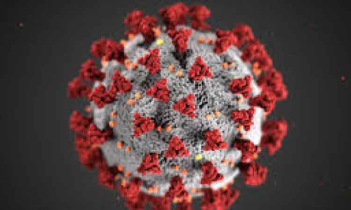 795 പേർക്കുകൂടി കോവിഡ്​; 822 പേർക്ക്​ രോഗമുക്​തി