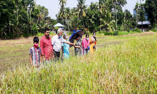 നയനാനന്ദകരം നയന​െൻറ പാടം