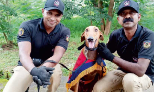 ശ്വാനസേനക്ക് കരുത്തായി പെന്നി