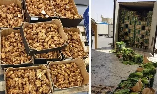 ഒക്ടോബറിൽ കാർഷിക വകുപ്പ് പരിശോധിച്ചത്  5835 ഷിപ്മെൻറുകൾ