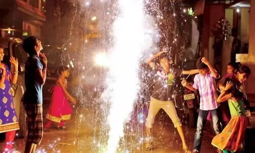 ഡൽഹിയിൽ പടക്ക വിൽപനയും ഉപയോഗവും നിരോധിച്ചു