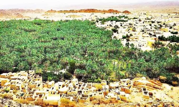 മ​നം ക​വ​രും, സൈ​ജ​യി​ലെ പ്ര​കൃ​തി​ഭം​ഗി