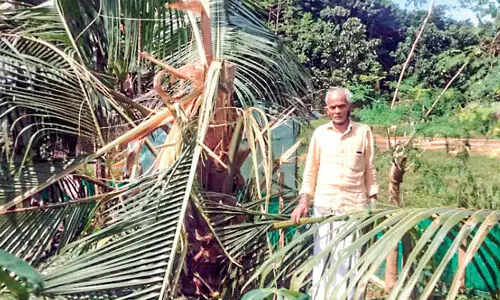 ഉ​ണ്ണി​ക്കു​ള​ത്ത് രാ​ത്രി​യി​റ​ങ്ങി​യ കാ​ട്ടാ​ന കാ​ർ​ഷി​ക വി​ള​ക​ൾ ന​ശി​പ്പി​ച്ചു