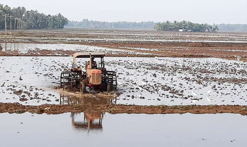 വീ​യ​പു​ര​ത്ത് പു​ഞ്ച​കൃ​ഷി ഒ​രു​ക്കം അ​വ​സാ​ന​ഘ​ട്ട​ത്തി​ൽ