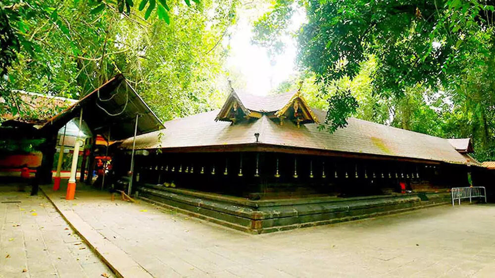 മണ്ണാറശാല ആയില്യം നാളെ; പരമ്പരാഗത ചടങ്ങുമാത്രം മണ്ണാറശാല ആയില്യം നാളെ; പരമ്പരാഗത ചടങ്ങുമാത്രം