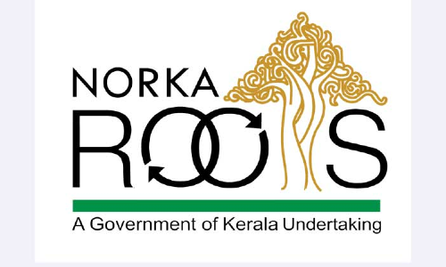 പ്രവാസിക​ളേ, പുതുസംരംഭങ്ങൾ തുടങ്ങാം​