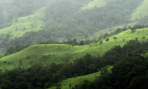 പരിസ്ഥിതിലോല മേഖല:​ കരട് വിജ്ഞാപനം റദ്ദാക്കാൻ ഹരജി