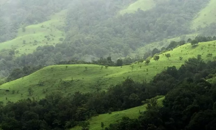 പരിസ്ഥിതിലോല മേഖല:​ കരട് വിജ്ഞാപനം റദ്ദാക്കാൻ ഹരജി