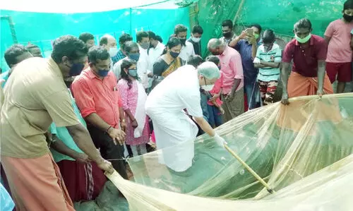 ബേപ്പൂരിലും മത്സ്യകൃഷി; വല നിറയെ വിളവ്