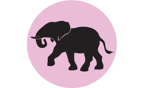 കൊലയാളി കൊമ്പന്‍ വീണ്ടും കുമ്പളപ്പാറ കോളനിയിലെത്തി