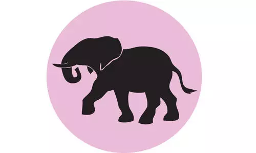 ആറളം ഫാമിൽ ആനമതിൽ പദ്ധതി ചുവപ്പുനാടയിൽ കുരുങ്ങി