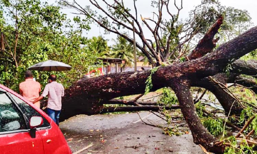കനത്ത കാറ്റിൽ കോട്ടയത്തി​െൻറ പടിഞ്ഞാറൻ മേഖലകളിൽ വ്യാപക നാശം