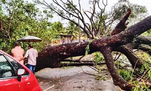 കനത്ത കാറ്റിൽ കോട്ടയത്തി​െൻറ പടിഞ്ഞാറൻ മേഖലകളിൽ വ്യാപക നാശം