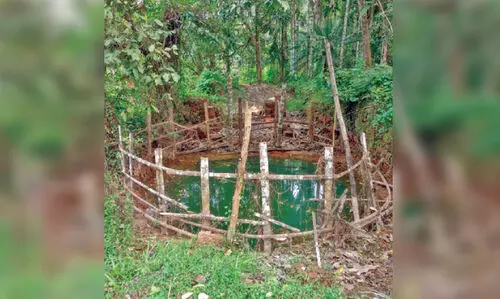 വേണം; കുറച്ച്​ കുടിവെള്ളമെങ്കിലും..