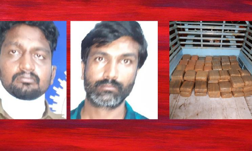 296 കിലോഗ്രാം കഞ്ചാവുമായി ആന്ധ്ര സംഘം പാലക്കാട്ട് പിടിയിൽ