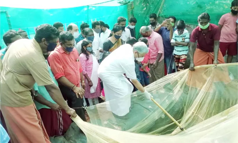 ബേപ്പൂരിലും മത്സ്യകൃഷി; വല നിറയെ വിളവ്
