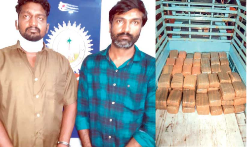 296 കിലോഗ്രാം കഞ്ചാവുമായി ആന്ധ്ര സംഘം പാലക്കാട്ട് പിടിയിൽ