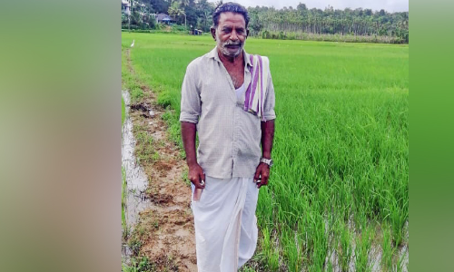 വയലേലകളെ സ്നേഹിച്ച് ഒരു ജീവിതം