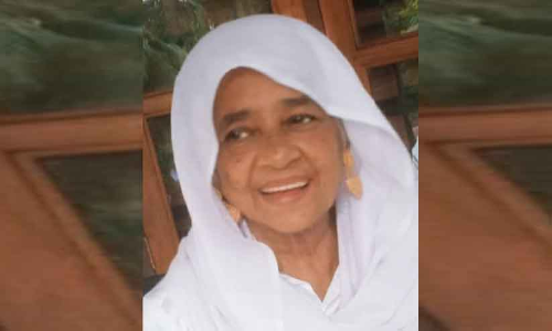 തേങ്ങ എടുക്കാനെത്തിയ വയോധിക കടന്നൽ കുത്തേറ്റു മരിച്ചു