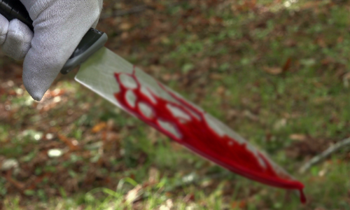 മൊസാംബിക്കില്‍ ഭീകരര്‍ 50ഓളം പേരെ തലയറുത്തു കൊന്നു