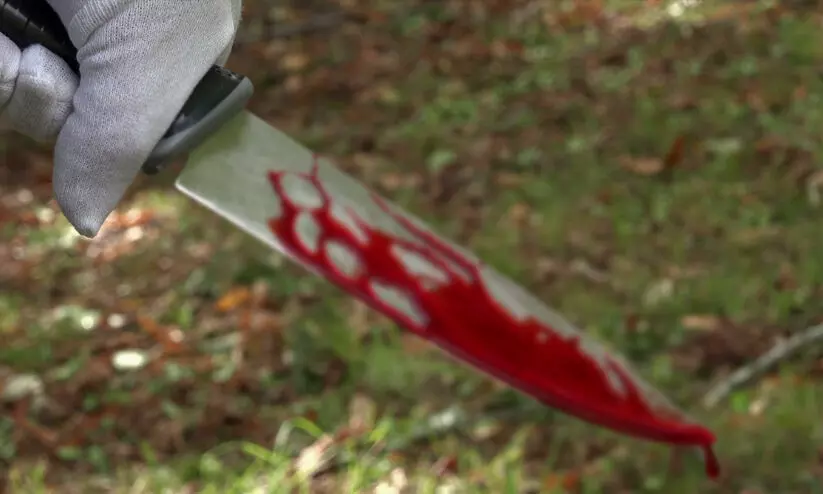 മൊസാംബിക്കില്‍ ഭീകരര്‍ 50ഓളം പേരെ തലയറുത്തു കൊന്നു