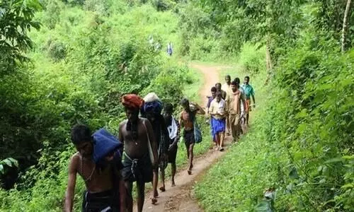 അച്ചൻകോവിൽ കാനനപാത:  ഇക്കുറിയും അയ്യപ്പതീർഥാടകർക്ക് ഉപകാരപ്പെടില്ല