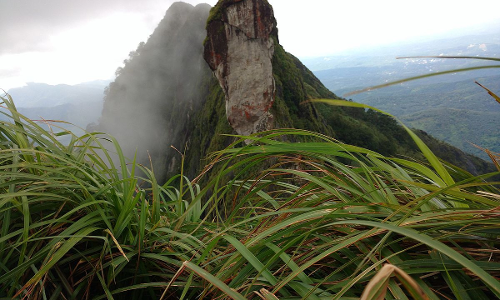 കോട്ടയം ഇല്ലിക്കല്‍ കല്ല് ഉമ്മിക്കുന്നില്‍ പ്രവേശനം നിരോധിച്ചു