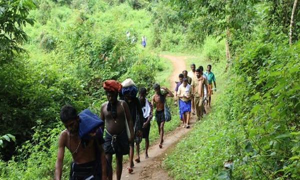 അച്ചൻകോവിൽ കാനനപാത:  ഇക്കുറിയും അയ്യപ്പതീർഥാടകർക്ക് ഉപകാരപ്പെടില്ല