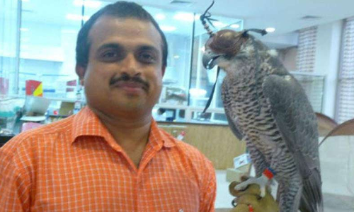 ഫാൽക്കൺ ആവേശം, അഭിനിവേശം