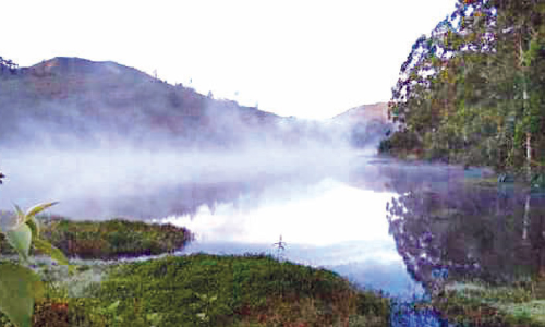 ഊട്ടിയിൽ മഞ്ഞുവീഴ്ച രൂക്ഷമായി