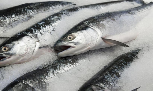 ശീതീകരിച്ച മത്സ്യപായ്​ക്കറ്റിൽ വൈറസ്​ സാന്നിധ്യം; ഇന്ത്യൻ കമ്പനിക്ക്​ ചൈനയിൽ ഇറക്കുമതി വിലക്ക്​