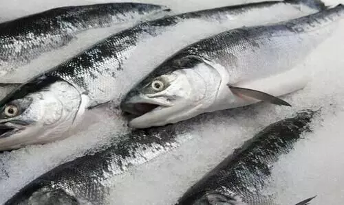 ശീതീകരിച്ച മത്സ്യപായ്​ക്കറ്റിൽ വൈറസ്​ സാന്നിധ്യം; ഇന്ത്യൻ കമ്പനിക്ക്​ ചൈനയിൽ ഇറക്കുമതി വിലക്ക്​