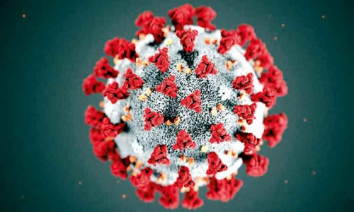 773 പേർക്കുകൂടി കോവിഡ്​; 688 പേർക്ക്​ രോഗമുക്തി