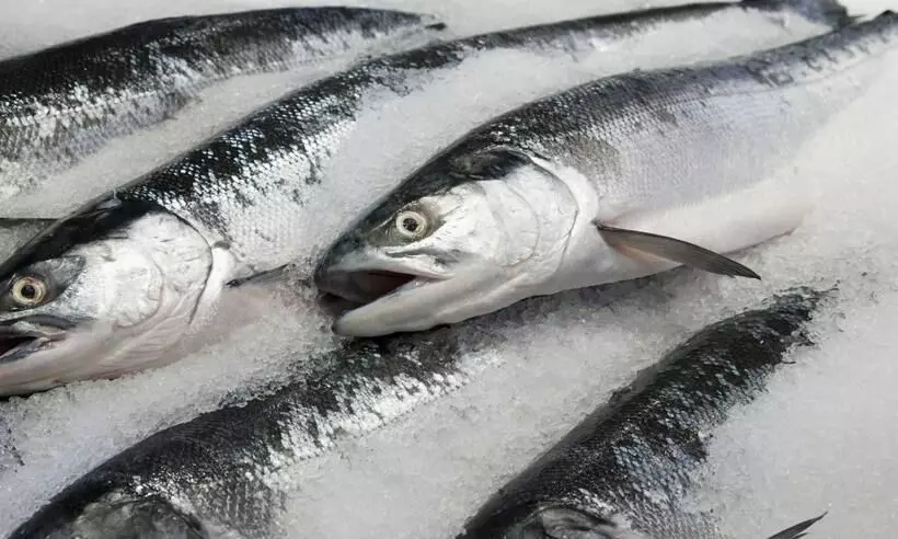 ശീതീകരിച്ച മത്സ്യപായ്​ക്കറ്റിൽ വൈറസ്​ സാന്നിധ്യം; ഇന്ത്യൻ കമ്പനിക്ക്​ ചൈനയിൽ ഇറക്കുമതി വിലക്ക്​