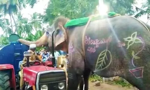 കുടിവെള്ള ടാങ്കർ തടഞ്ഞുനിർത്തി വെള്ളം കുടിച്ച് ആന; വൈറലായി വിഡിയോ