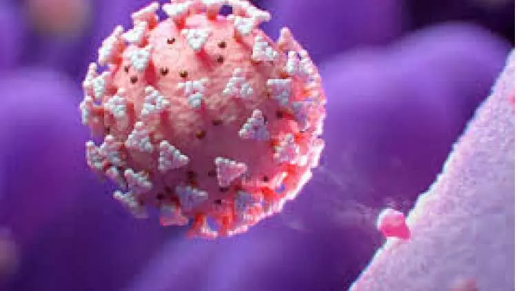 കോവിഡ്: പുതിയ രോഗികൾ 235 കോവിഡ്: പുതിയ രോഗികൾ 235