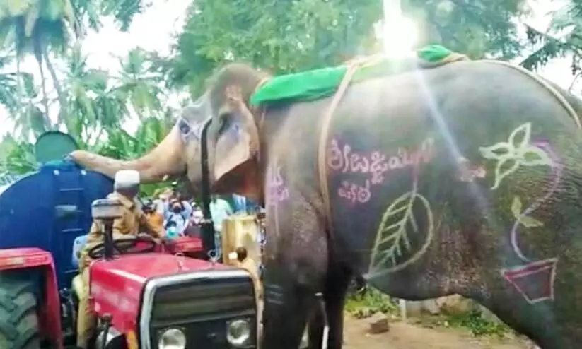 കുടിവെള്ള ടാങ്കർ തടഞ്ഞുനിർത്തി വെള്ളം കുടിച്ച് ആന; വൈറലായി വിഡിയോ