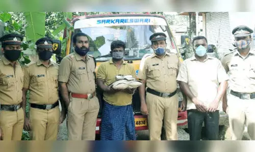 റിസോർട്ട് കേന്ദ്രീകരിച്ച് കഞ്ചാവ് വിൽപന; ഒരാൾ പിടിയിൽ