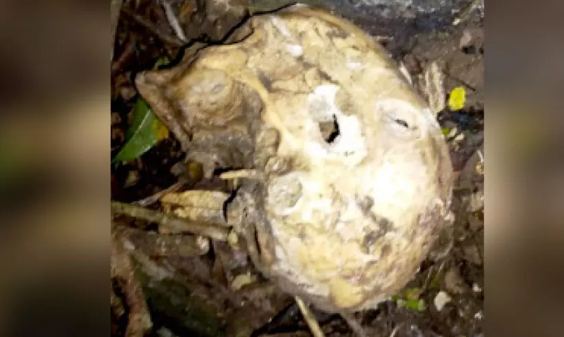 കണ്ണവം വനത്തിൽ തലയോട്ടി കണ്ടെത്തി
