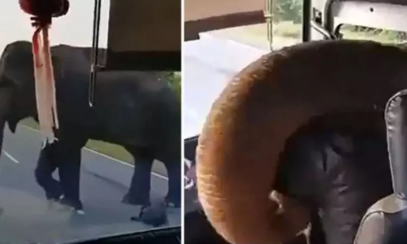 ബസിനകത്തെ പഴക്കുലക്കായി പട്ടാപ്പകൽ ആനയുടെ പിടിച്ചു​പറി; വൈറലായി വിഡിയോ