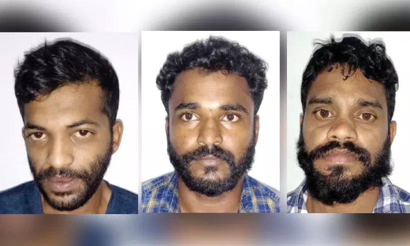 320 കിലോ കഞ്ചാവ് പിടികൂടിയ കേസില് മൂന്നുപേര് കൂടി അറസ്റ്റിൽ 320 കിലോ കഞ്ചാവ് പിടികൂടിയ കേസില് മൂന്നുപേര് കൂടി അറസ്റ്റിൽ