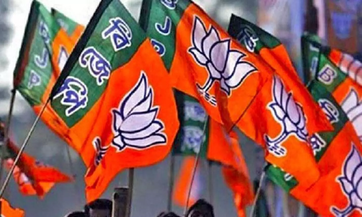 സ്ഥാനാർഥിക്ക്​ പ്രായപൂർത്തിയായില്ല; ബി.ജെ.പിയുടെ പത്രിക തള്ളി