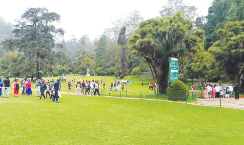 ഇ-പാസ്​​ വേണ്ട;  ഊട്ടി വിളിക്കുന്നു, സഞ്ചാരികളേ ഇതിലെ