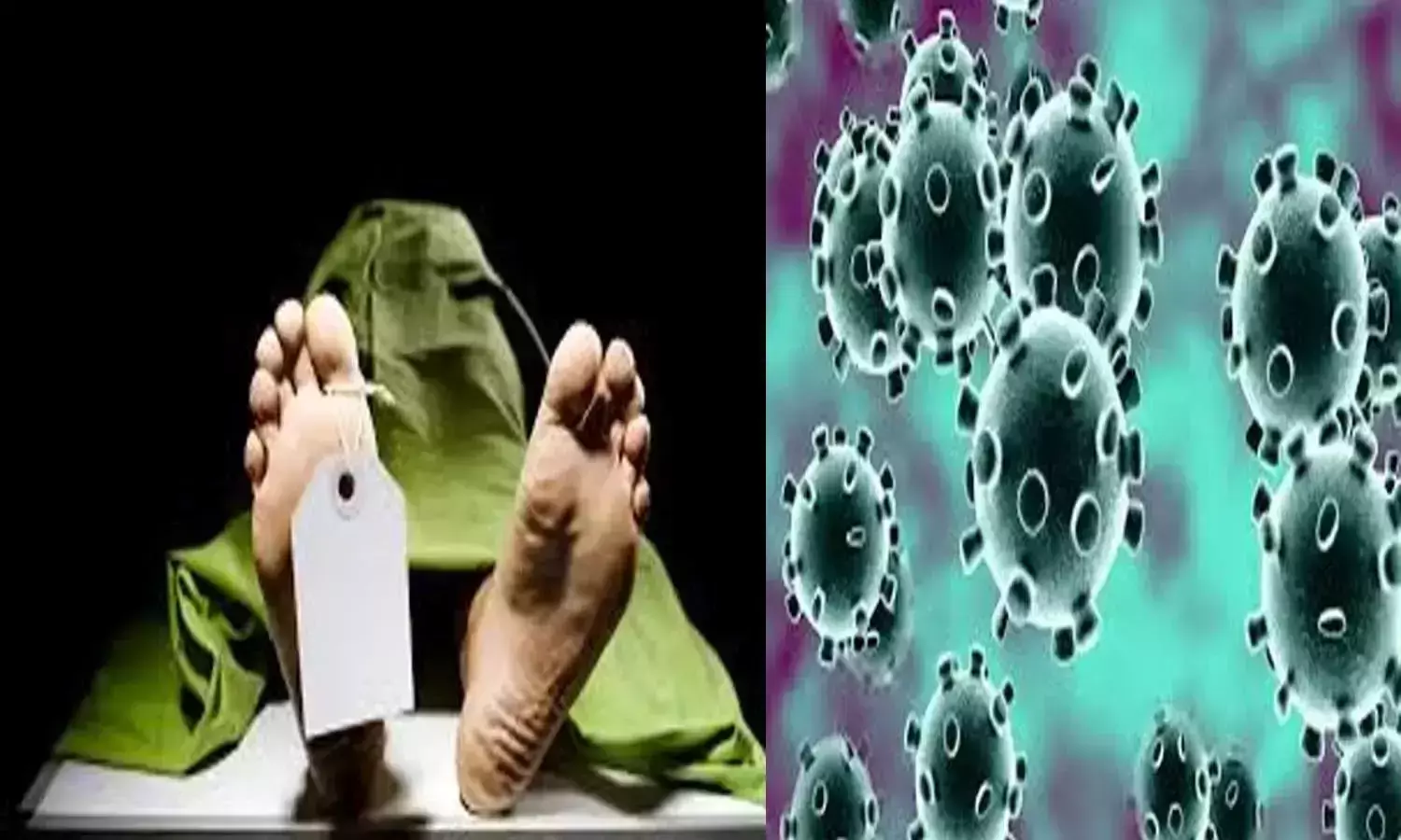 സംസ്​ഥാനത്ത്​ 27 കോവിഡ്​ മരണങ്ങൾ കൂടി; ആകെ മരണം 1915 ആയി