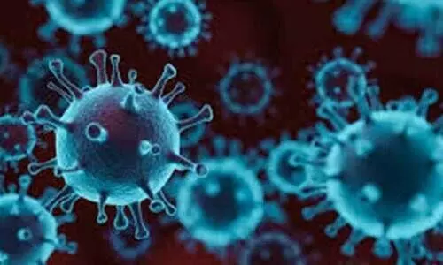 489 പേർക്കുകൂടി കോവിഡ്; 829 പേർക്ക് രോഗമുക്തി 489 പേർക്കുകൂടി കോവിഡ്; 829 പേർക്ക് രോഗമുക്തി